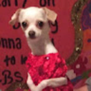 Meet your Posher, Isabelle